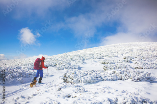 Girl with dog in winter mountains.