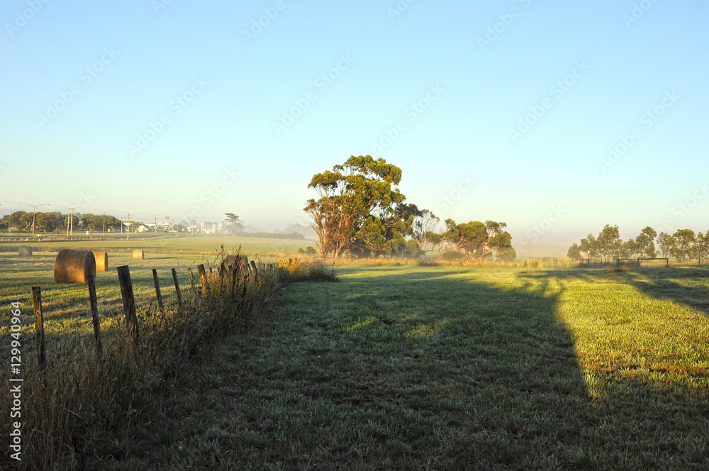 Fototapeta premium Misty morning