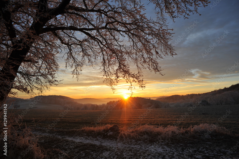Fototapeta premium Wintermorgen im Odenwald bei Lautertal, Hessen, Deutschland