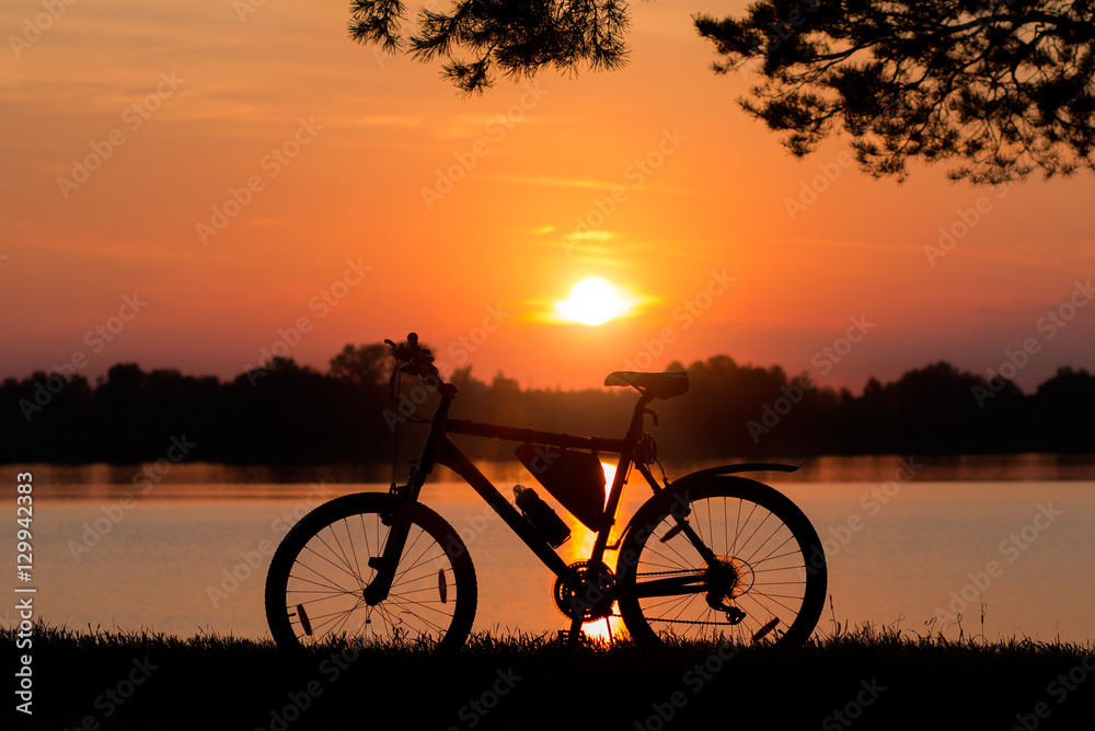 Fototapeta premium Single bicycle standing on a sunset under trees