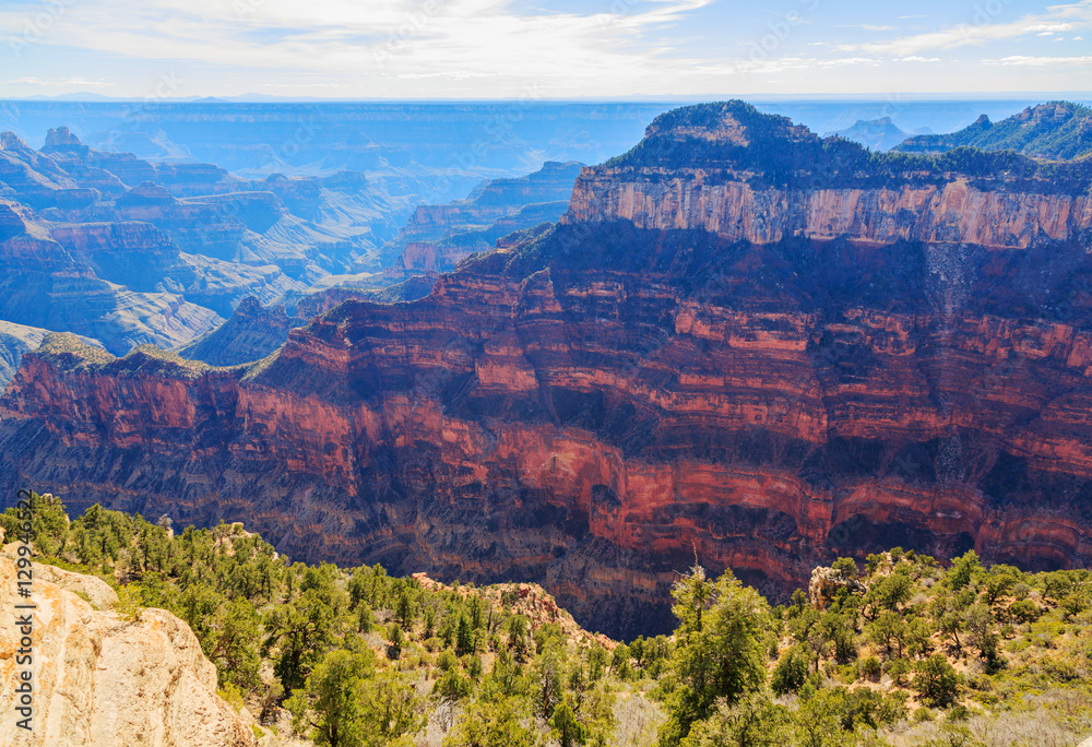 Awesome view of Grand Canyon from North Rim, Arizona, United Sta