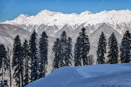 Beautiful snowy mountain peaks and blue sky scenic winter landscape of the Main Caucasus ridge with row of fir trees on the background