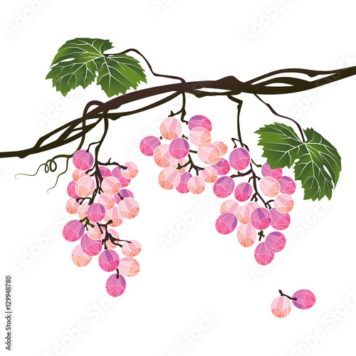 Stylized polygonal branch rose grapes on a white background
