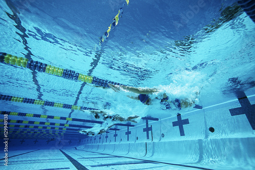 Принти на полотні Professional female swimmers swimming in pool