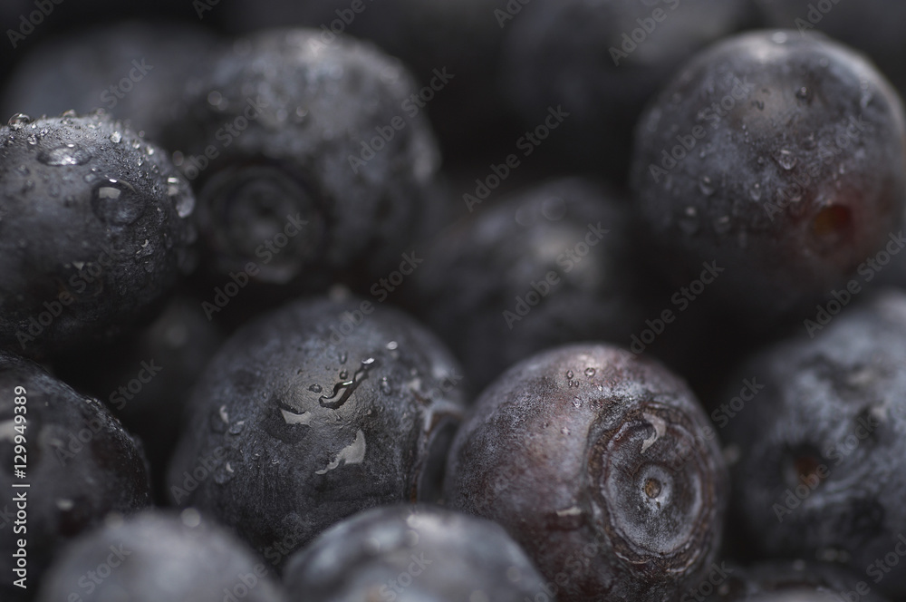 Full frame image of wet blueberries Full frame image of wet blueberries