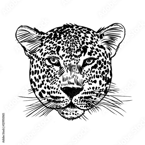 Leopard face tattoo ,Vector illustration, print