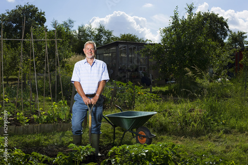 Slika na platnu Portrait of happy senior man gardening in allotment