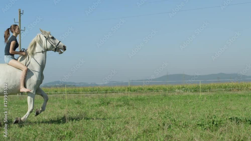 SLOW MOTION: Girl on beautiful white horse cantering bareback on grass field SLOW MOTION: Girl on beautiful white horse cantering bareback on grass field