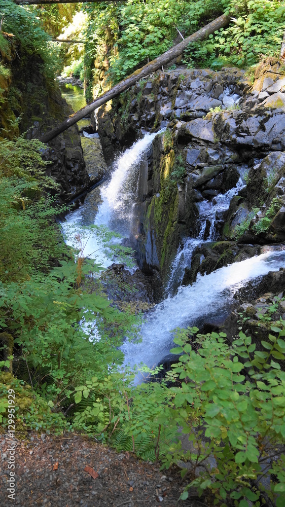 Obraz premium Washington Outdoors