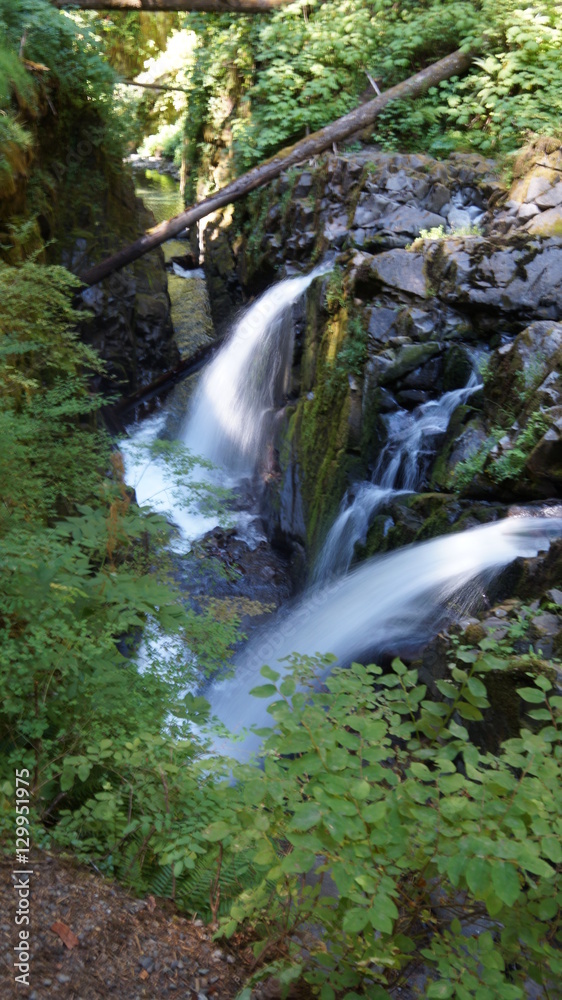 Obraz premium Washington Outdoors