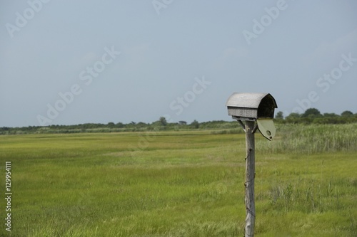 Mailbox and fields