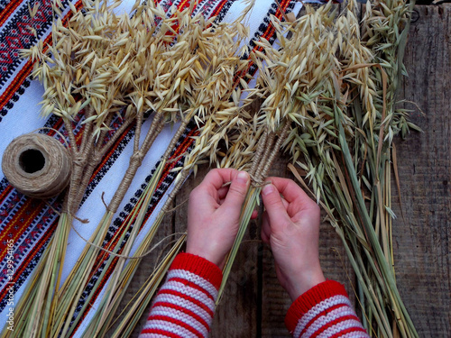 Making of Didukh of spikelets oats - Christmas, symbolic and ceremonial sheaf Ukrainian, symbolizing prosperity in the house and in the family. photo