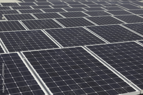 Large array of solar     panels