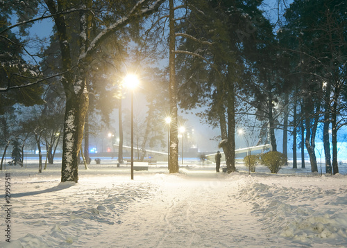 Snowy city park in light of lanterns at evening.Snow-covered trees and benches,footpath in a fabulous winter night park.Winter landscape
