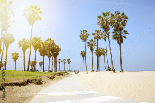 People enjoying a sunny day on the beach of Venice, California photo