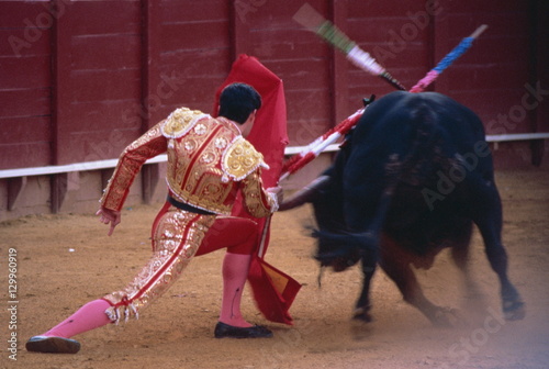 Steering the bull by left horn tip, bullfighting, Spain photo