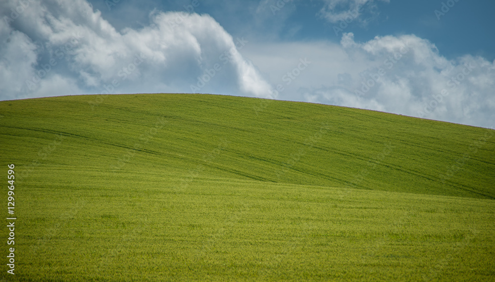 Obraz premium Field on hill