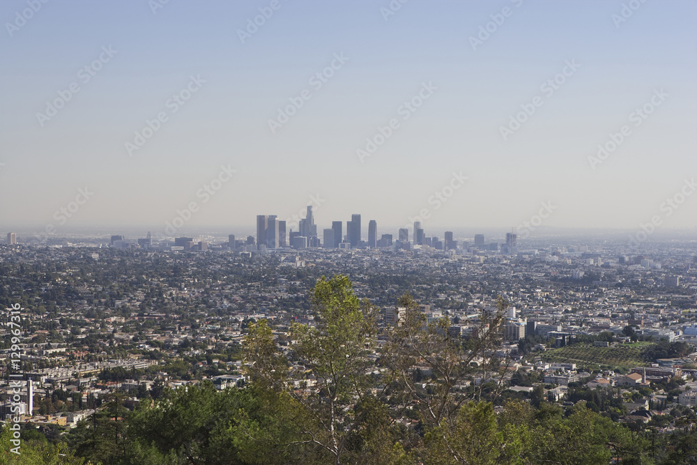 Aerial view of skyline at California, USA