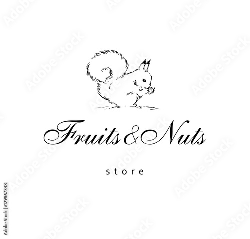 Hand drawn squirrel on a white background. Vector concept of logo for grocery store.