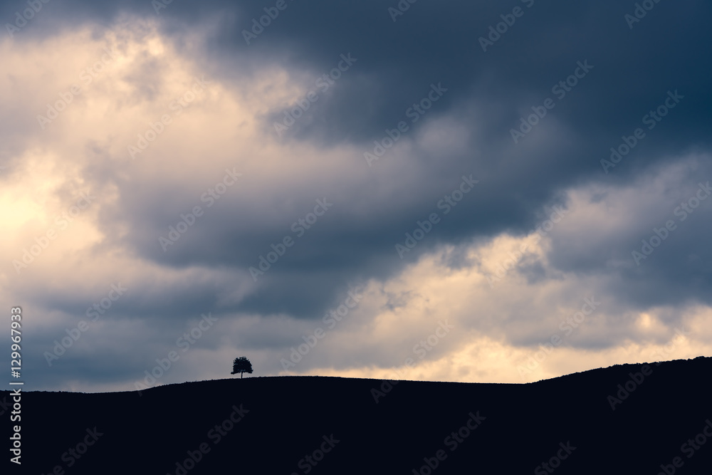 Lone tree silhouette on hill under stormy clouds.