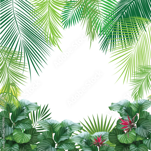 Fototapeta Naklejka Na Ścianę i Meble -  Tropical jungle background with palm tree and leaves. 