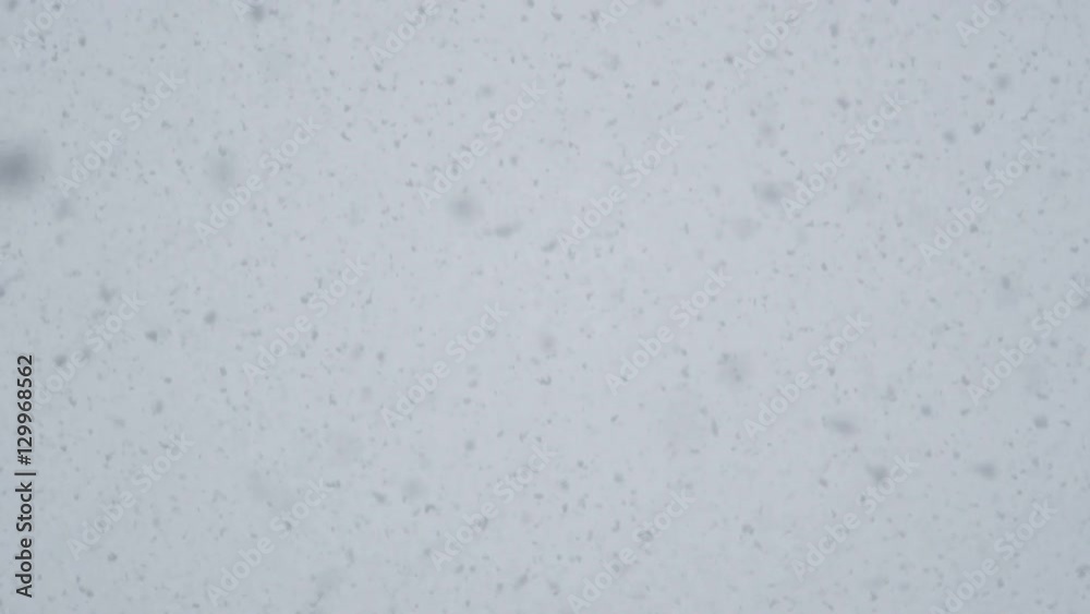 SLOW MOTION: Huge white snowflakes falling from the sky in heavy snow blizzard SLOW MOTION: Huge white snowflakes falling from the sky in heavy snow blizzard