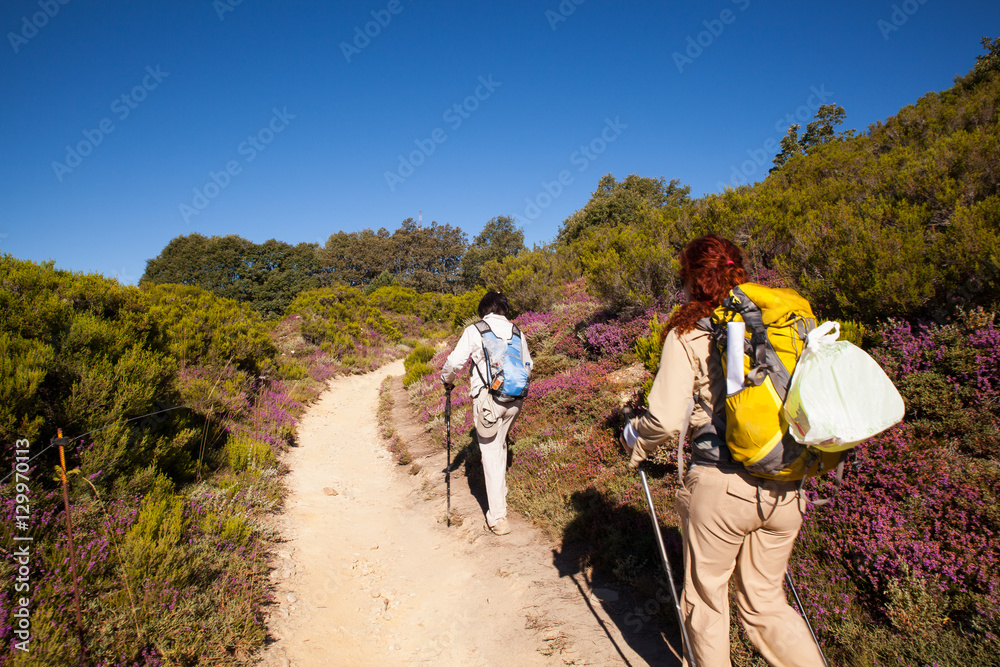 Pilgrimns along the way of St. James