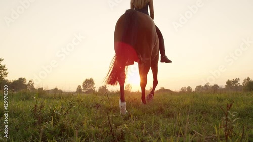LOW ANGLE VIEW: Mighty brown horse with young rider walking into golden sunset