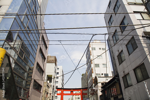 Electrical Lines and Torii Gate Between Multistory Buildings © moodboard