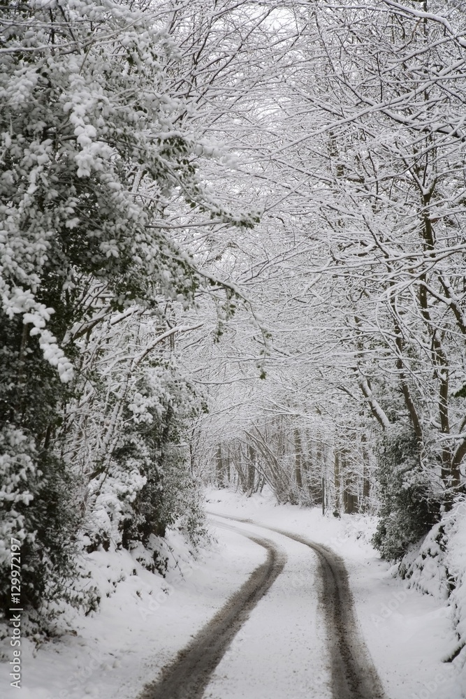 Obraz premium Scenic winter landscape