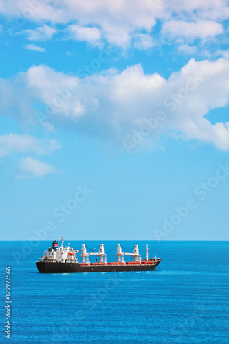 Cargo Ship in the Sea photo