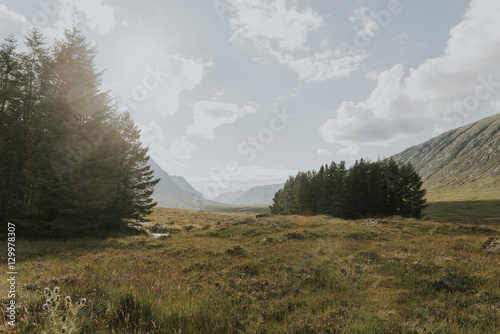 Small forests in the scottish fields surrounded by mountains and a dramatic sky at daytime photo