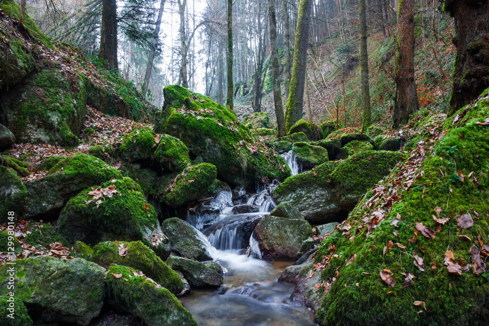 Winter creek in Austria