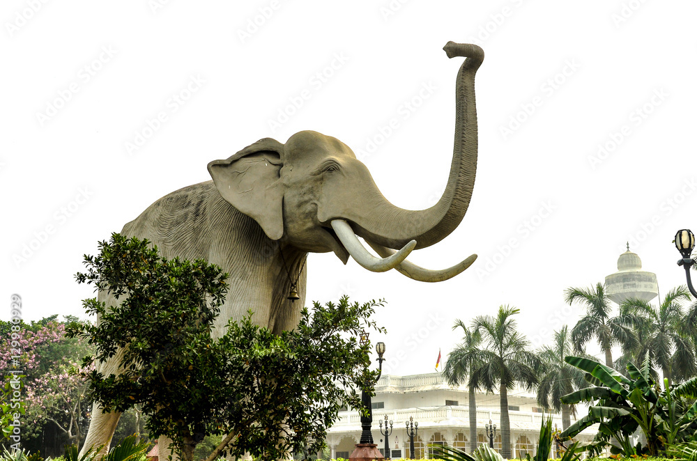 Obraz premium Elephant's Trunk pointing upwards