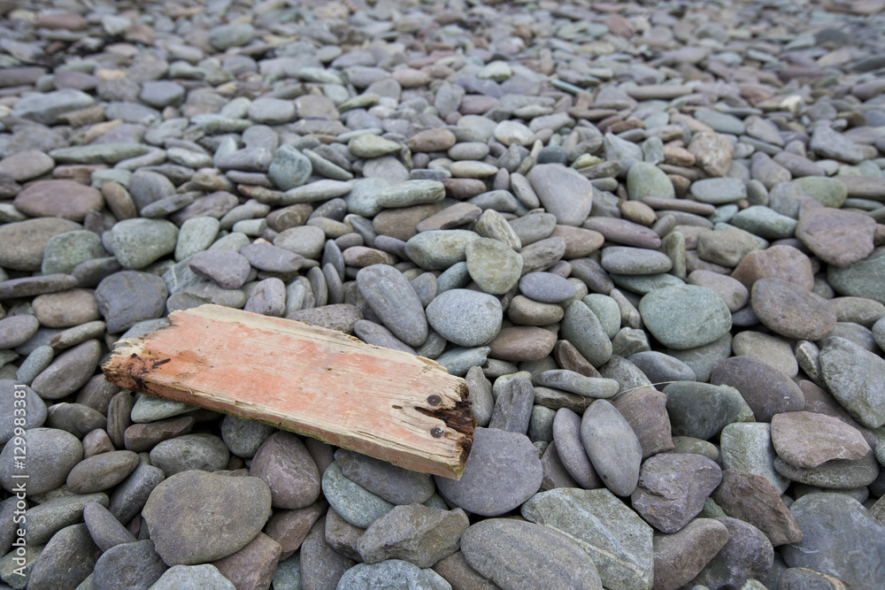 Close up of drift wood on pebbles Close up of drift wood on pebbles