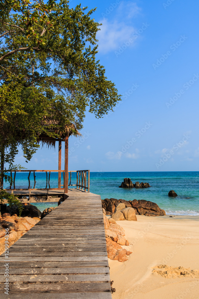 Fototapeta premium Wooden pathway