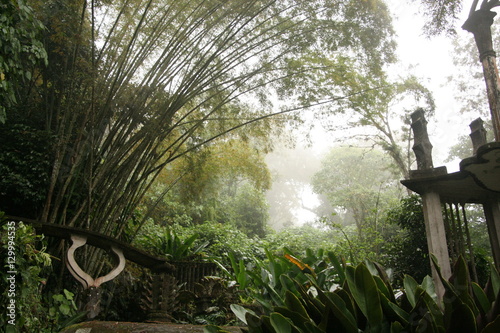 Las Pozas, a surrealist botanical garden in Xilitla Mexico by Edward James
 photo