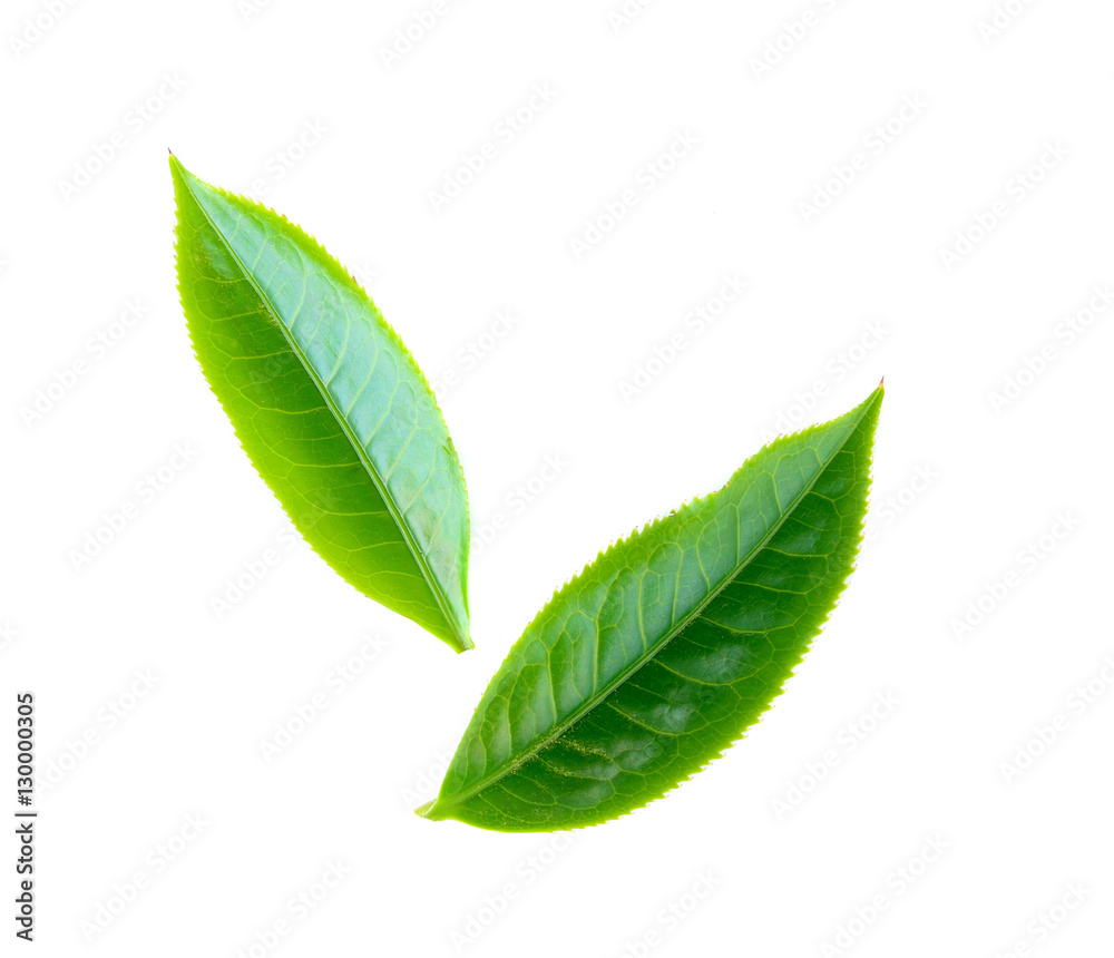 Obraz premium tea leaf on white background