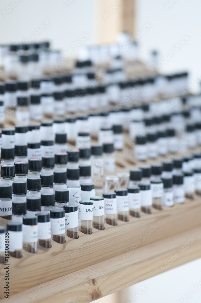 Fototapeta premium Vials in wooden stand at laboratory