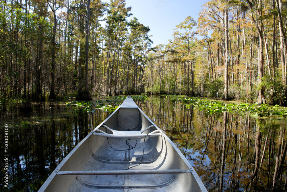 Fototapeta premium Okefenokee by Canoe