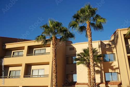 palm tree and hotel building in sunny day