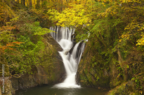 Furnace Falls, Furnace, Dyfed, Wales photo