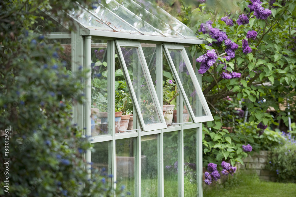 Εκτύπωση καμβά Greenhouse in back garden with open windows for ventilation