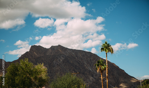 Mountain and Palm Trees in Palm Springs California