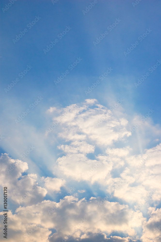 Fototapeta premium Rays of Light Shining Up