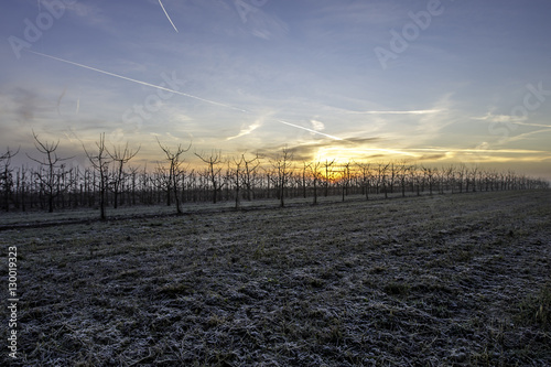 Sonnenaufgang   ber einem Feld im Winter