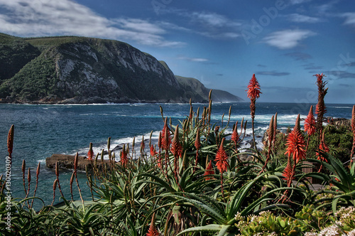 Herbst im Tsitsikamma Nationalpark Südafrika photo