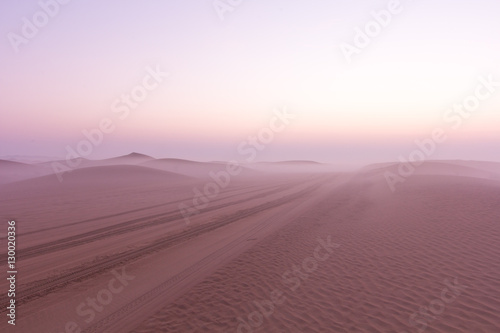 Quiet moment in desert during sunrise. Dubai, UAE.