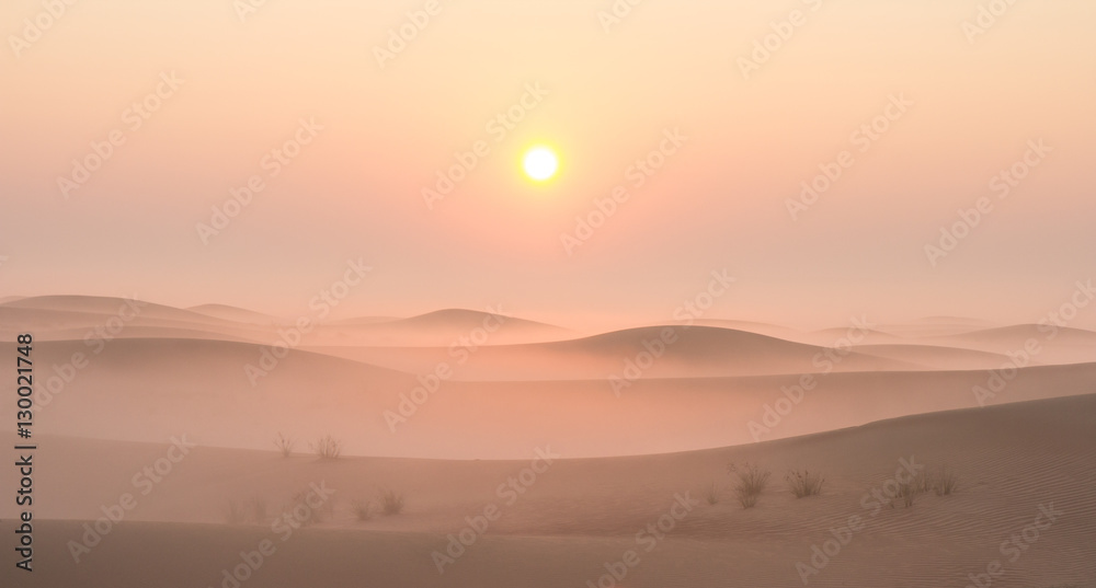 Obraz premium Quiet moment in desert during sunrise. Dubai, UAE.