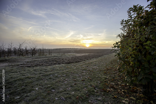 Sonnenaufgang über einem Feld im Winter